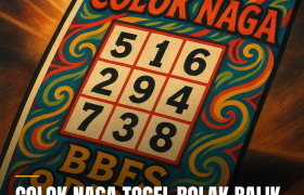 Colok naga togel strategi dengan BBFS 9 digit.
